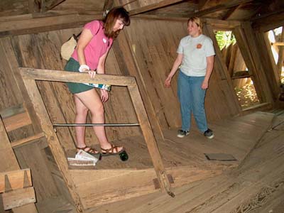 Bottles roll uphill!